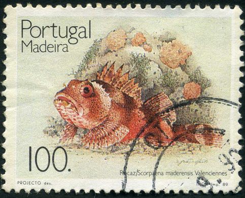 Madeira - 1989 - Fauna Marinha - Rocaz - 100Esc00