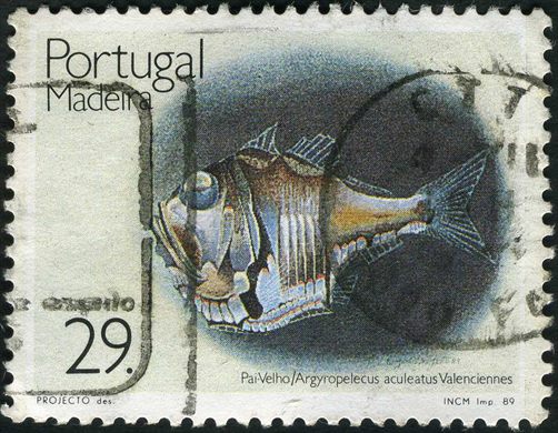 Madeira - 1989 - Fauna Marinha - Pai Velho - 29Esc00