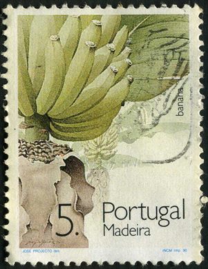 Madeira - 1990 - Frutos - 5 00