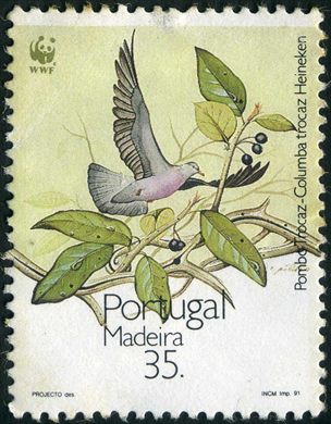 Madeira - 1991 - WWF Pombo Trocaz - 35 00