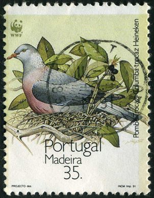Madeira - 1991 - WWF Pombo Trocaz - 35 00