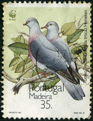 Madeira - 1991 - WWF Pombo Trocaz - 35 00