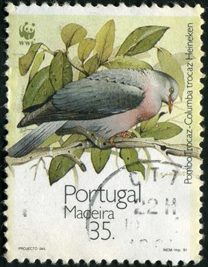 Madeira - 1991 - WWF Pombo Trocaz - 35 00