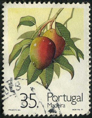Madeira - 1991 - Frutos - Mangueira - 35Esc00