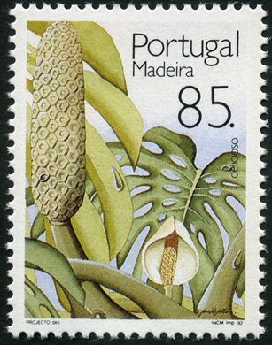 Madeira - 1992 - Frutos - 85 00