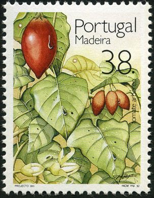 Madeira - 1992 - Frutos - 38 00
