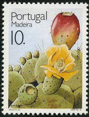 Madeira - 1992 - Frutos - 10 00