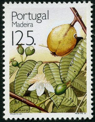 Madeira - 1992 - Frutos - 125 00