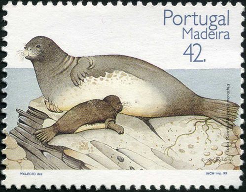 Madeira - 1993 - Proteccao da Natureza Lobo Marinho - 42 00