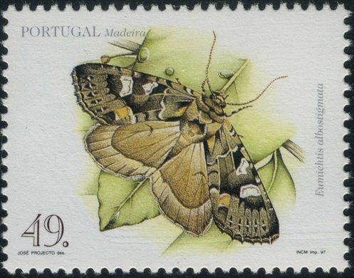 Madeira - 1997 - Fauna - Borboletas - Eumichtis albostigmata - 49Esc00