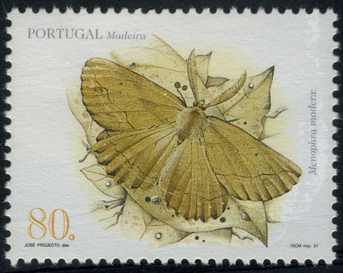 Madeira - 1997 - Fauna - Borboletas - Menophra madeirae - 80Esc00