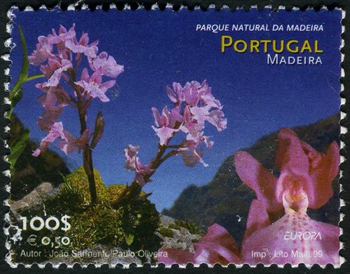 Madeira - 1999 - Europa - Parque Natural da Madeira - 100Esc00