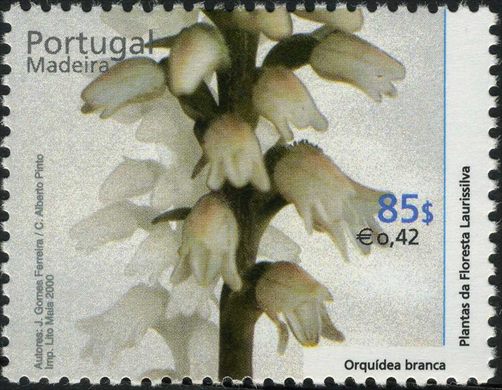 Madeira - 2000 - Plantas da Floresta Laurissilva - 85 00