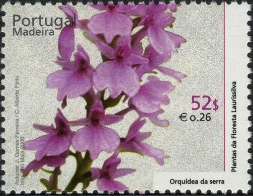 Madeira - 2000 - Plantas da Floresta Laurissilva - 52 00