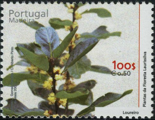 Madeira - 2000 - Plantas da Floresta Laurissilva - 100 00