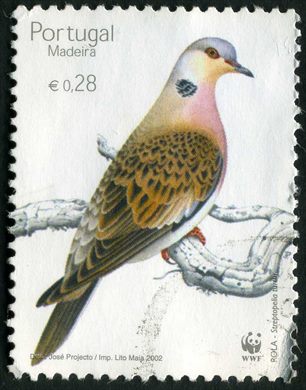 Madeira - 2002 - Conservacao da Natureza - Rolas - 0.28Euro