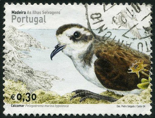 Madeira - 2004 - As Ilhas Selvagens - Passaros - Calcamar - 0.30Euro