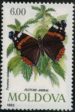 Moldavia - 1993 - Fauna Vanessa atalanta - 6