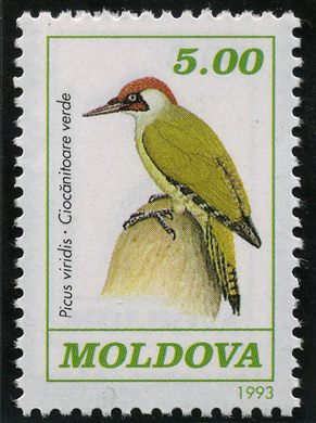 Moldavia - 1993 - Fauna Picus viridis - 5