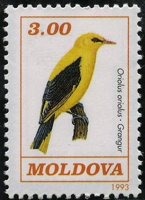 Moldavia - 1993 - Fauna Oriolus oriolus - 3