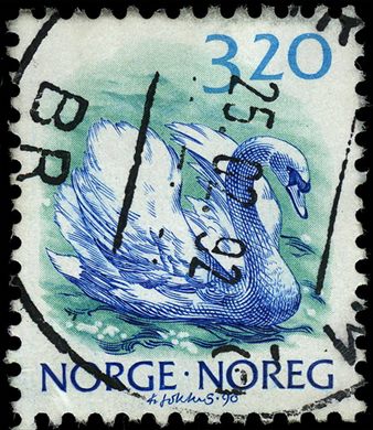 Noruega - 1991 - Aves Cisne Mudo - 3.20Kr