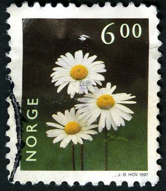 Noruega - 1997 - Flores Margaridas - 6.00Kr
