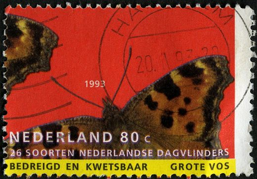 Paises Baixos - 1993 - Vlinders Grote Vos - 80C