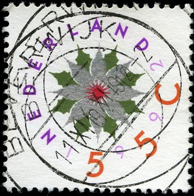 Paises Baixos - 1993 - Decemberzegels Kerstster - 55C5C