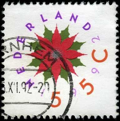 Paises Baixos - 1993 - Decemberzegels Kerstster - 55C5C