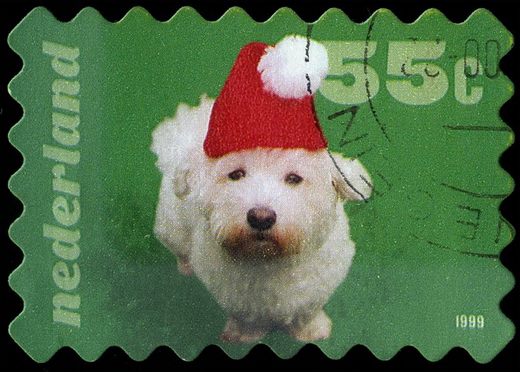 Paises Baixos - 1999 - Selo de Dezembro - 55C