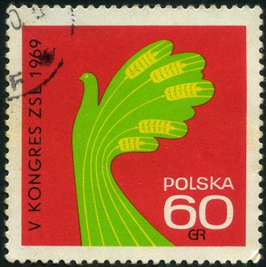 Polonia - 1950 - Bierut Presidente - 15Gr
