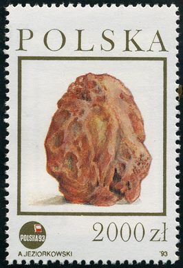 Polonia - 1993 - Ambar - Ambar Vermelho - 2000Zl