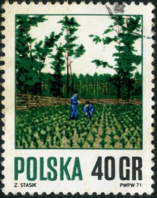 Polonia - Sem Data - Floresta - 40Gr