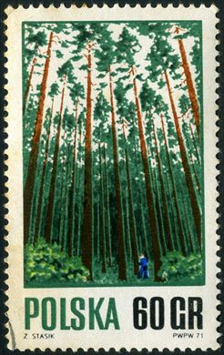 Polonia - Sem Data - Floresta - 60Gr