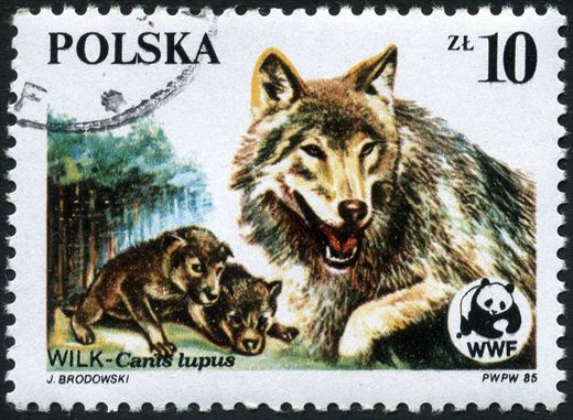 Polonia - Sem Data - WWF Lobo - 10