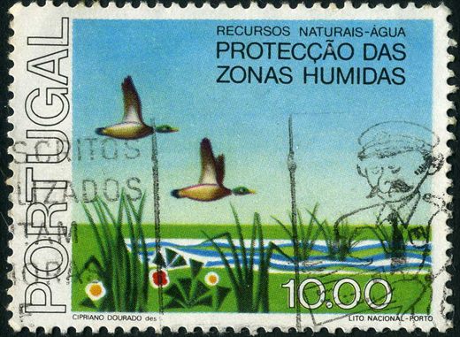 Portugal - 1976 - Recursos Naturais Agua Proteccao das Zonas Humidas - 10.00