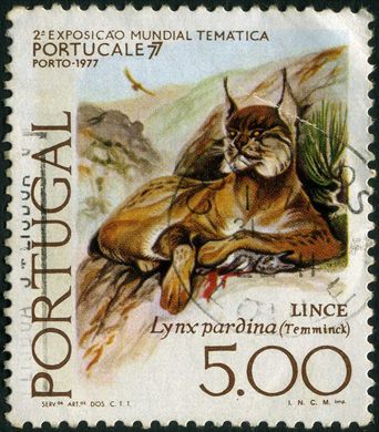 Portugal - 1977 - Portucale 77 Lince - 5Esc