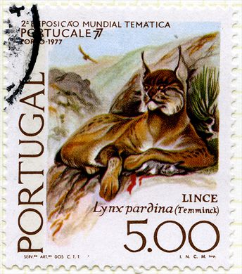 Portugal - 1977 - Portucale 77 Lince - 5Esc
