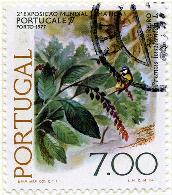 Portugal - 1977 - Portucale 77 Azereiro - 7Esc