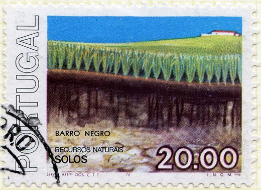 Portugal - 1978 - Recursos Naturais Solos - 20.00