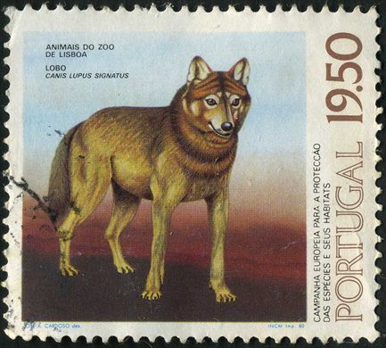 Portugal - 1980 - Animais do Zoo de Lisboa - Lobo - 19Esc50