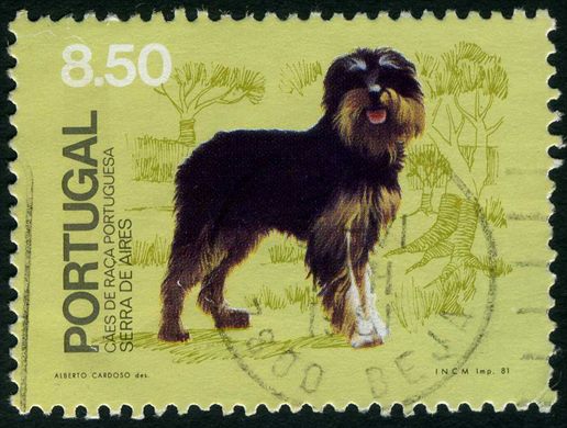 Portugal - 1981 - Caes de Raca Portuguesa - Serra de Aires - 8Esc50