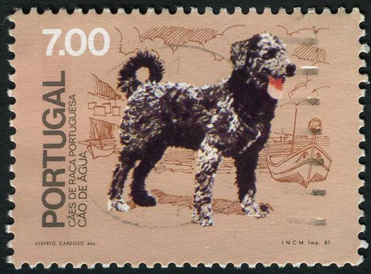 Portugal - 1981 - Caes de Raca Portuguesa - Cao de Agua - 7Esc