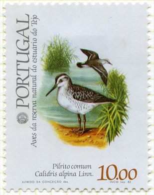 Portugal - 1982 - Aves do Estuario do Tejo - Pilrito Comum - 10Esc