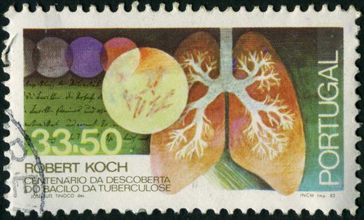 Portugal - 1982 - Centenario da Descoberta do Bacilo da Tuberculose - Pulmoes - 33Esc50
