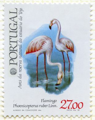 Portugal - 1982 - Aves do Estuario do Tejo - Flamingo - 27Esc