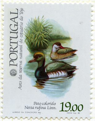Portugal - 1982 - Aves do Estuario do Tejo - Pato Colorido - 19Esc