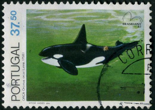 Portugal - 1983 - Mamiferos Marinhos Brasiliana 83 - Orca - 37Esc50