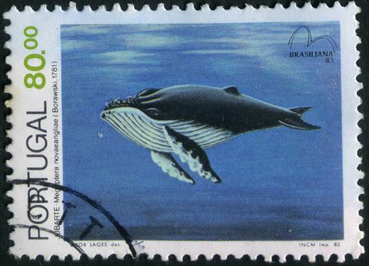 Portugal - 1983 - Mamiferos Marinhos Brasiliana 83 - Jubarte - 80Esc