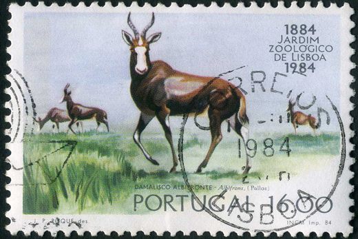 Portugal - 1984 - Centenario do Jardim Zoologico de Lisboa - 16Esc00